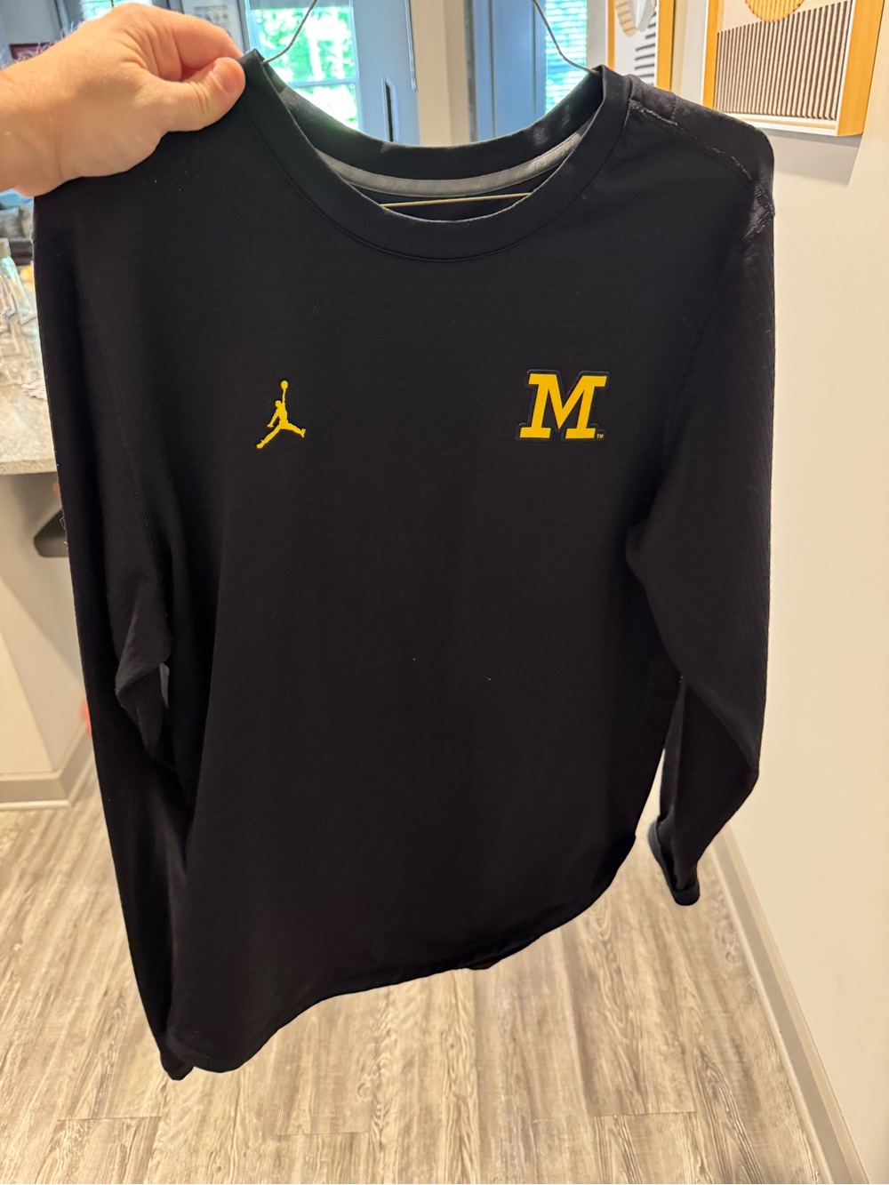 Jordan Brand Michigan Wolverines sweatshirt
